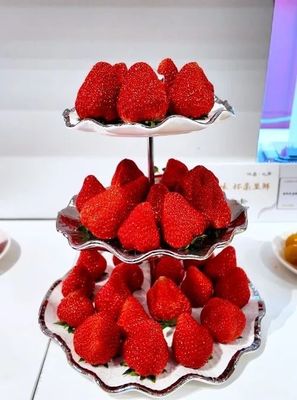 漁陽(yáng)北房鮮臻品 蛇年迎春鮮享會(huì)的病人陪護(hù)服務(wù)新篇章
